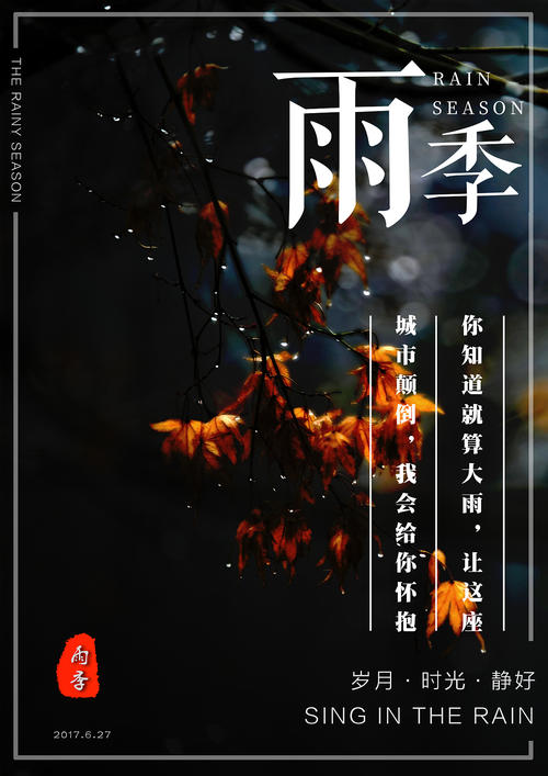 定制墨西哥护照